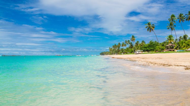 Praias Paradisíacas de Maragogi