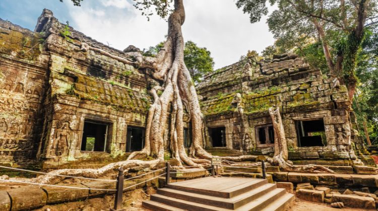 emplo Ta Prohm_Angkor_Camboja