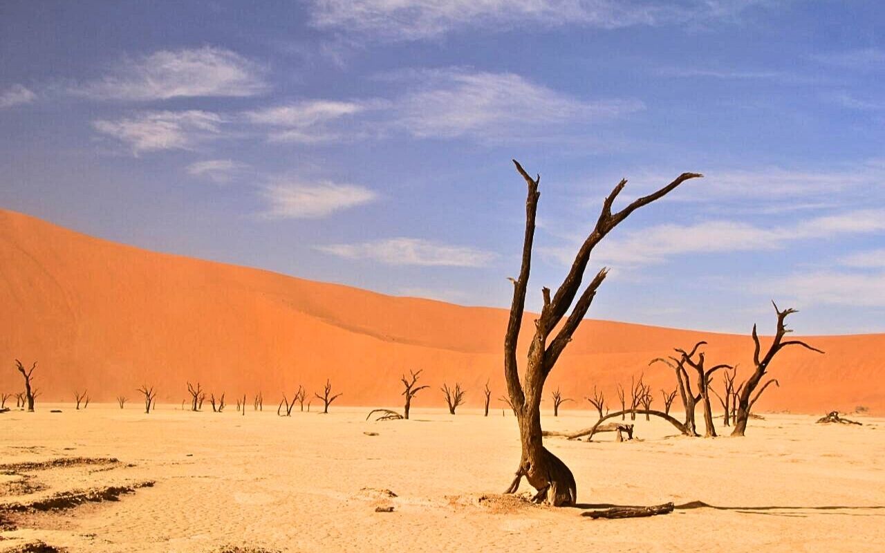 Deadvlei - Namíbia - África