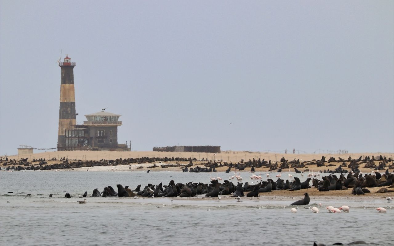 Walvis Bay - Namíbia - África