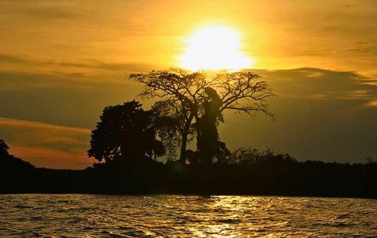 Lago Vitória-Uganda-Africa