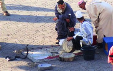 Marrakesh-Marrocos-autoral 2