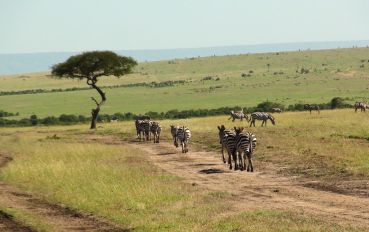 Quênia-Africa-autoral 1