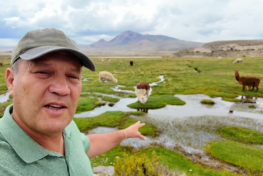 Programa Arica - Viaje Comigo 12ª Temporada