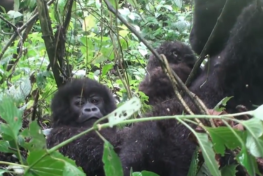 Viaje Comigo TV Novo Tempo - 3ª Temporada