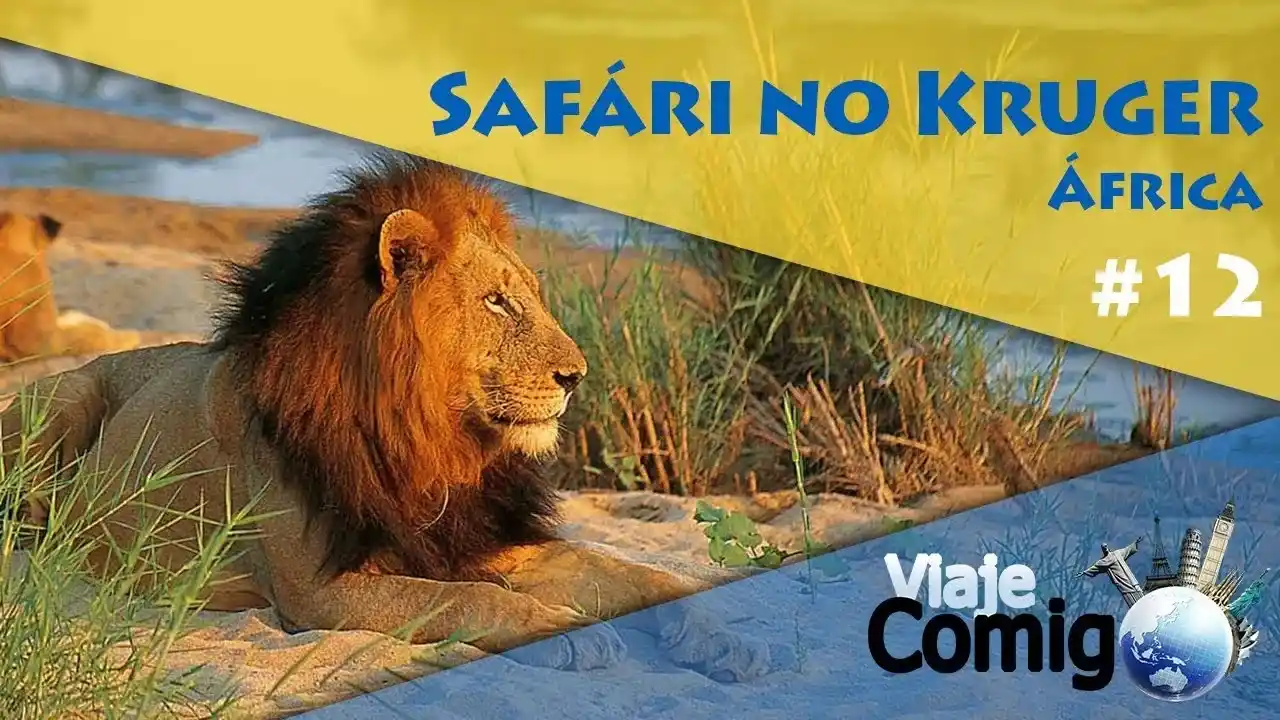 Capa vídeo Safári no Kruger de 2011 - Viaje Comigo no YouTube