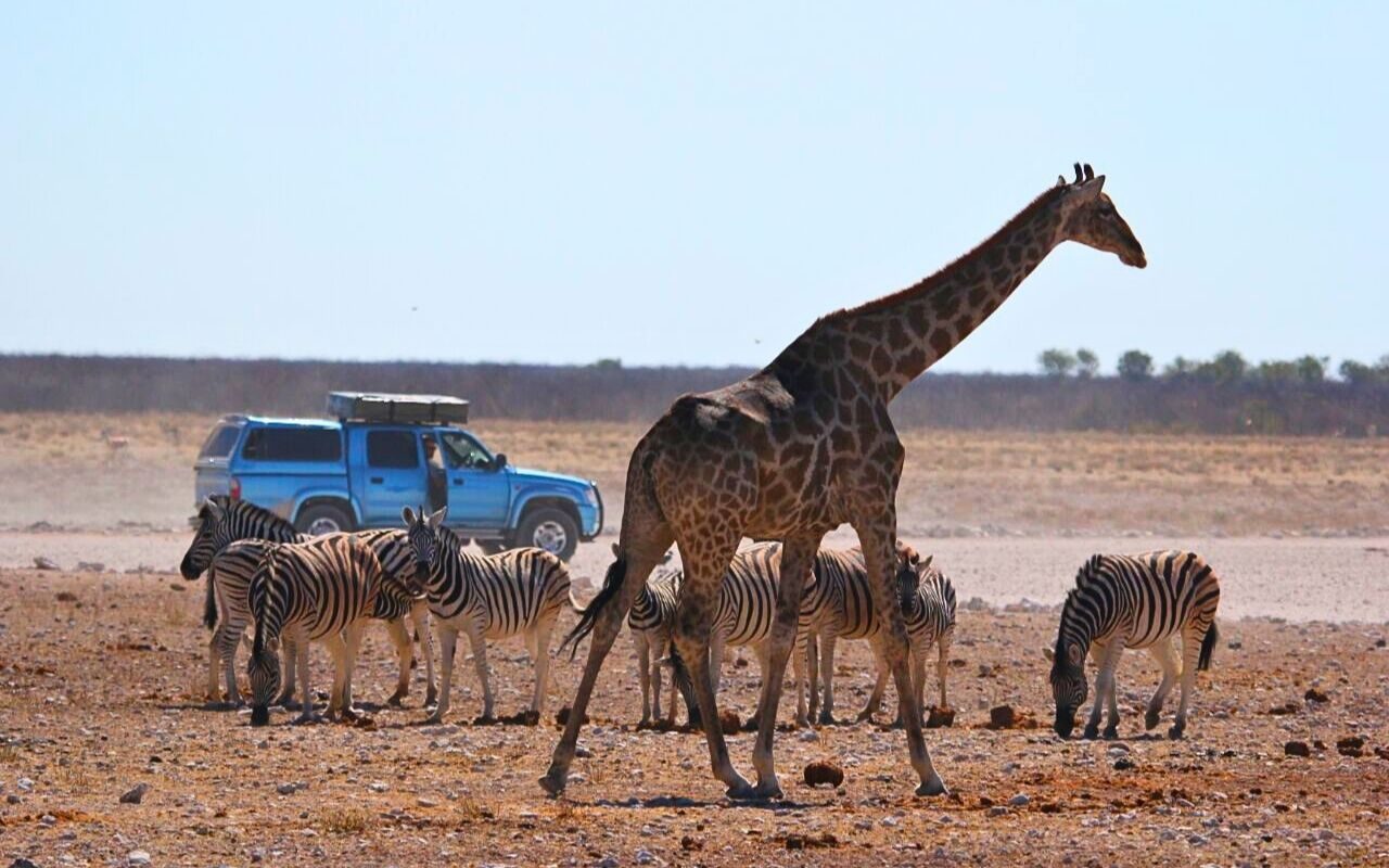 Etosha-Namibia-Africa