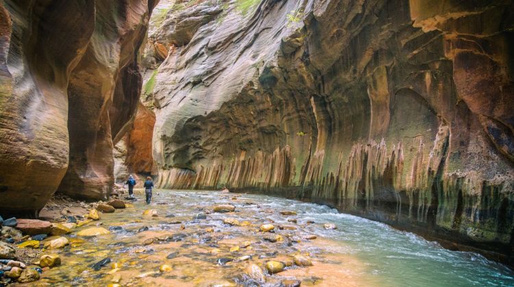 Parques Nacionais - Zion - The Narrows