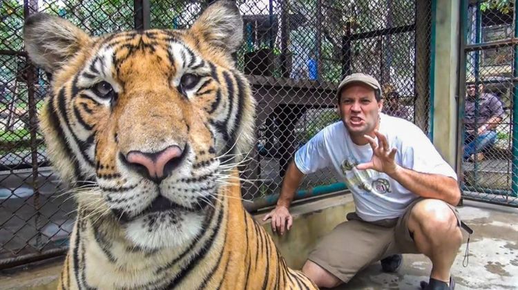 Peter Goldschmidt em Tiger Kingdom - Chiang Mai - Norte da Tailândia