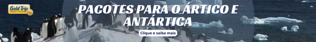 Pacotes Antártida